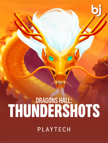 ড্রাগনস হল থান্ডারশটস game thumbnail